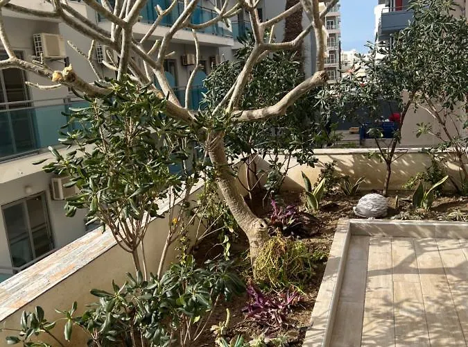 Apartment Psaropoula's Hidden Gem